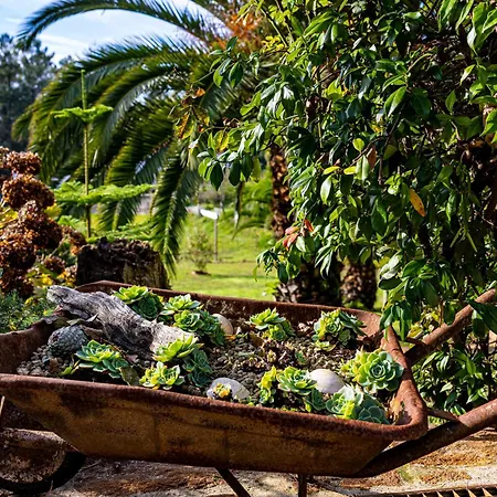 Quinta Da Gala וילה