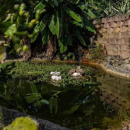 Quinta Da Gala