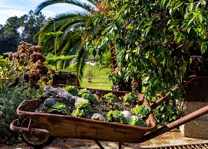 Quinta Da Gala וילה