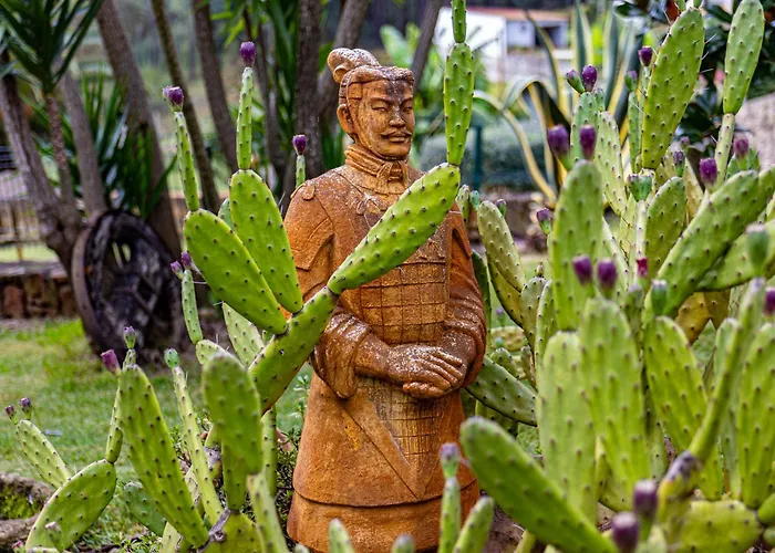 Quinta Da Gala ארוקה